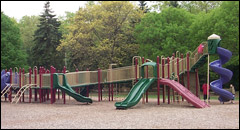 Stanley Park