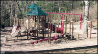 The Carroll School